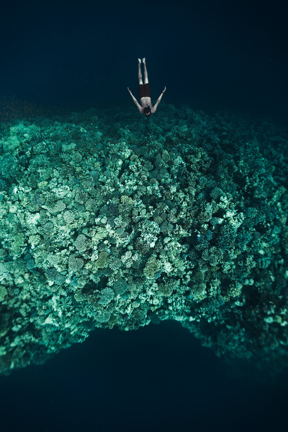 Freedive over rolling stones Enric Gener