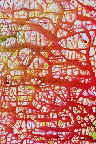 A Park of Reflections von Moise Semexant, Malerei kaufen auf Singulart