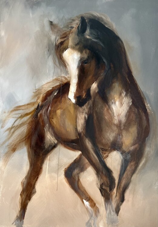 Ruby’s Pride Tamara Andjus