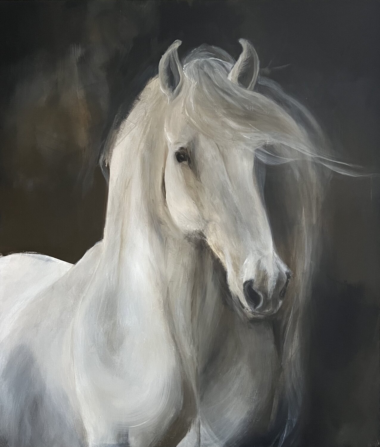 The Lipizzan Tamara Andjus