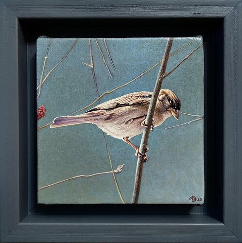 The Sparrow’s Dasein by MUSTAFA ORKUN MÜFTÜOĞLU, 絵画 for Sale on Singulart