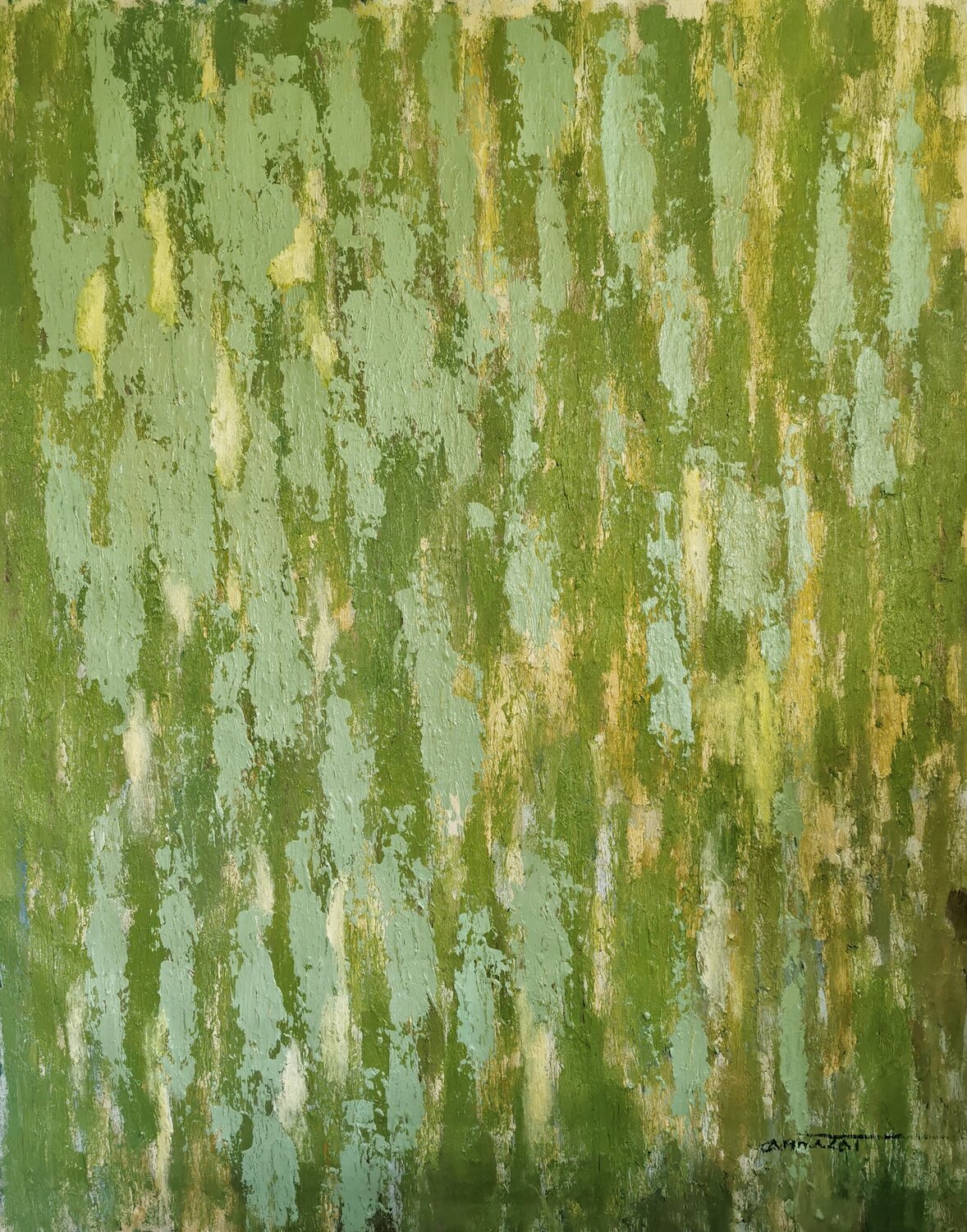 Evergreen Echo fang cai