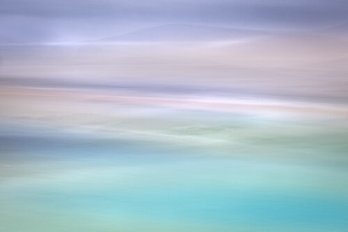 Sea Thrift Lynne Douglas