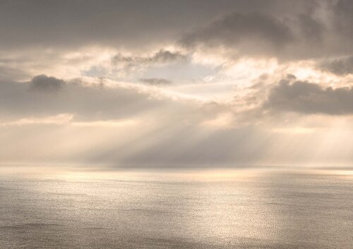 A Little Piece of Heaven by Lynne Douglas, 사진 for Sale on Singulart