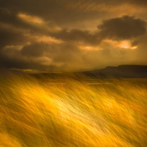 The Land I Love by Lynne Douglas, 사진 for Sale on Singulart