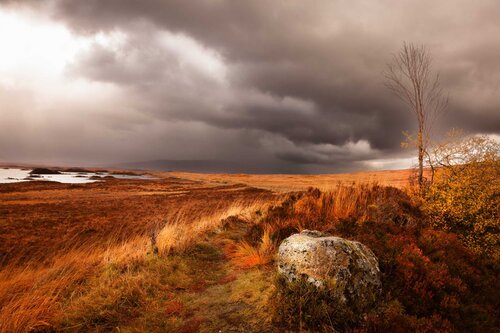 Burnished Horizon, Scotland by Lynne Douglas, 사진 for Sale on Singulart