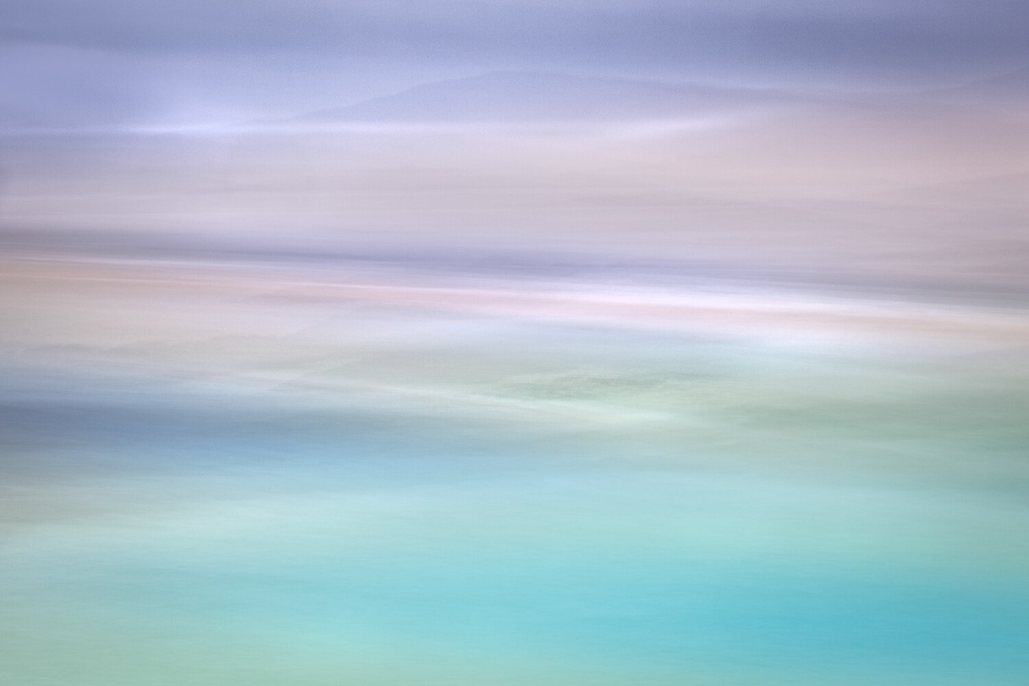 Sea Thrift Lynne Douglas