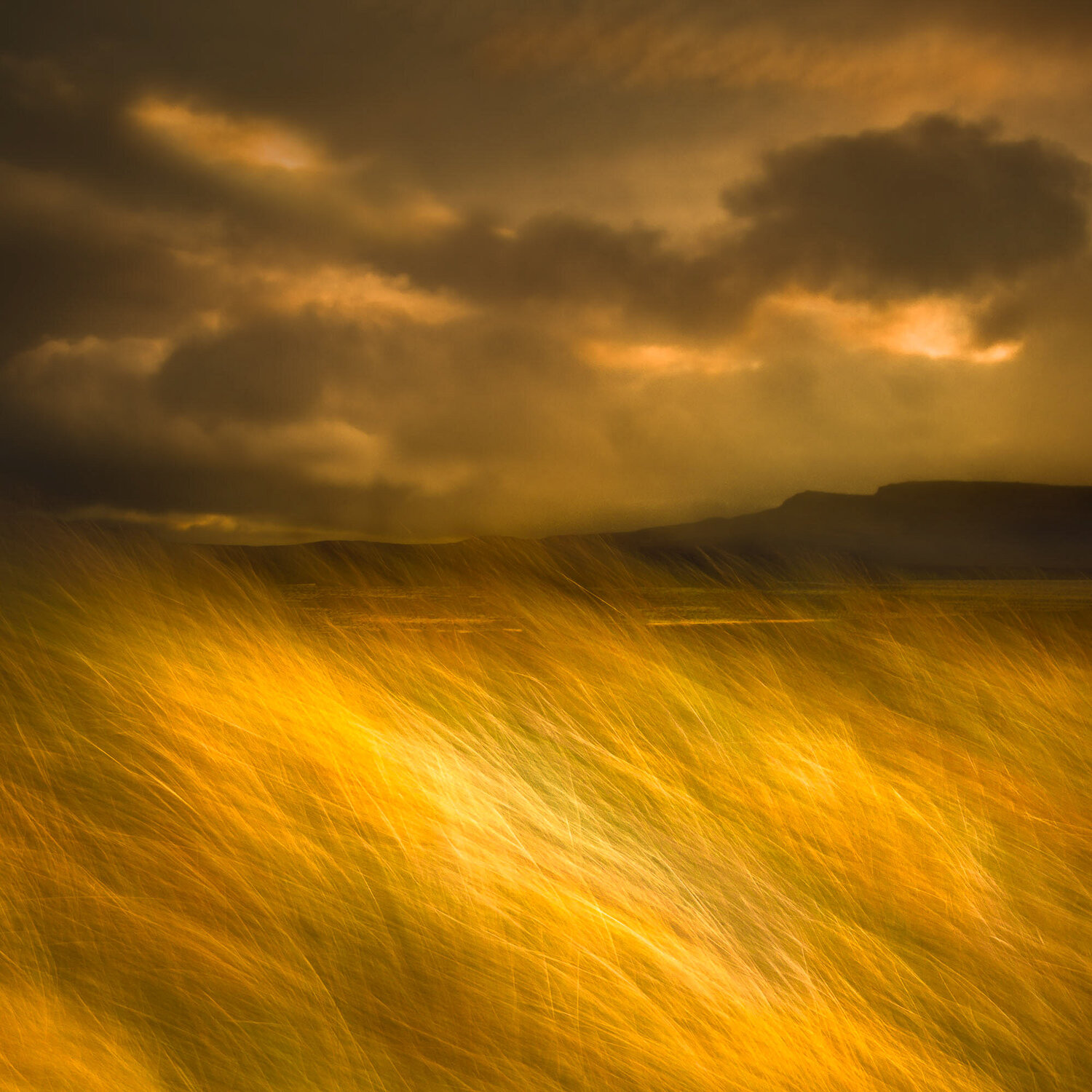 The Land I Love Lynne Douglas