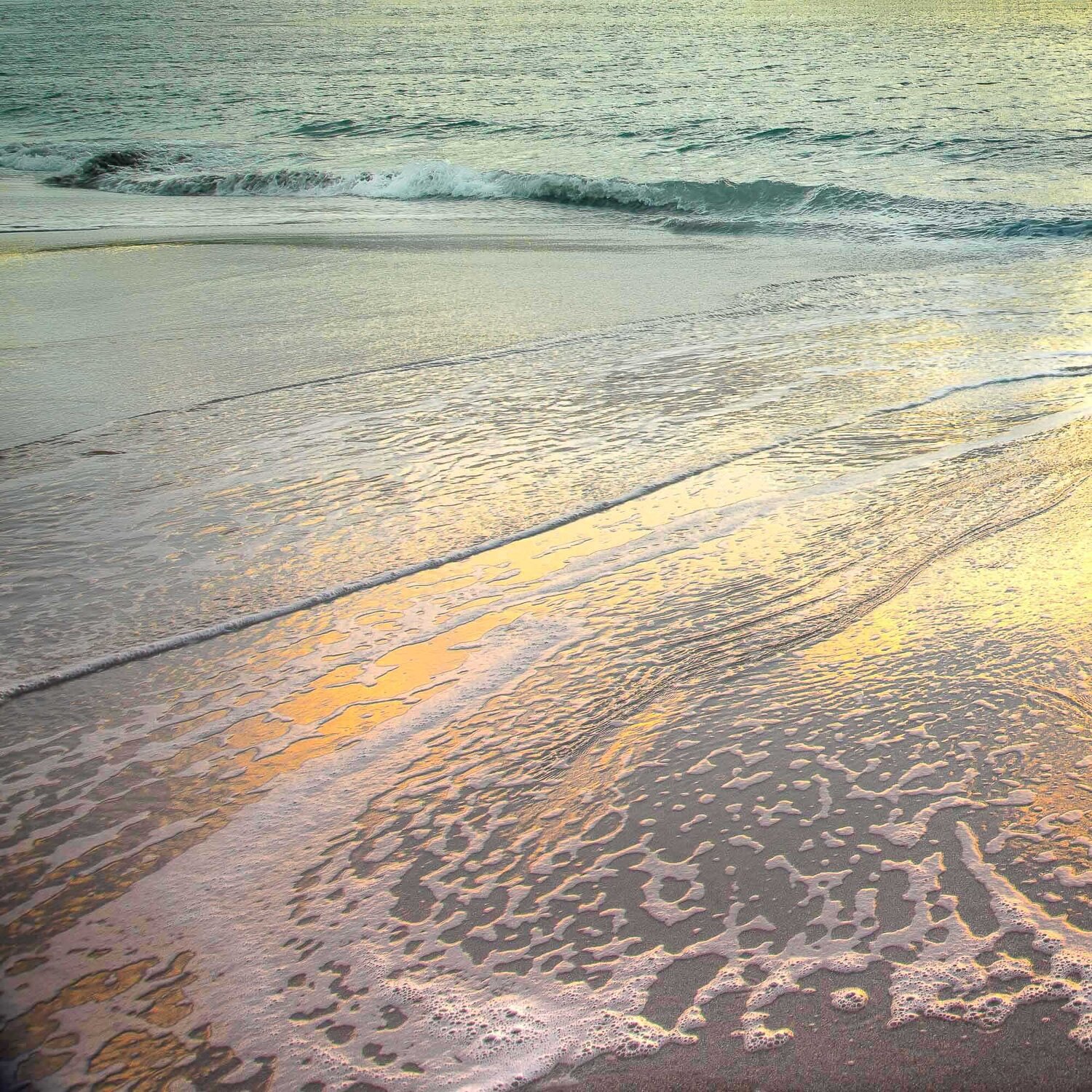 Saltlight and Sand Lynne Douglas