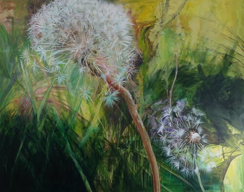 Pusteblumen van Christa Riemann, Schilderij te koop op Singulart