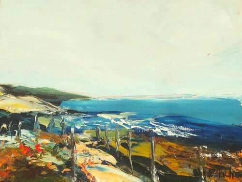Sentier douanier à Saint-Tropez van Marie Josiane BLACHON, Schilderij te koop op Singulart
