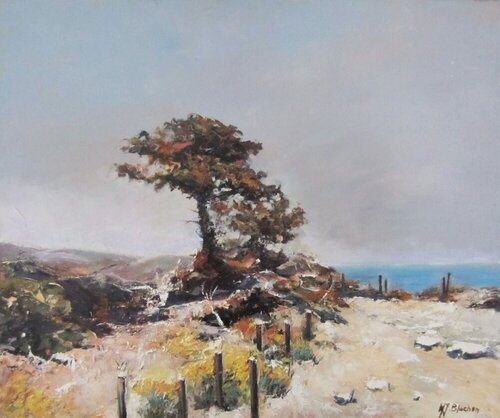 PAYSAGE DES MAURES N° 2 van Marie Josiane BLACHON, Schilderij te koop op Singulart
