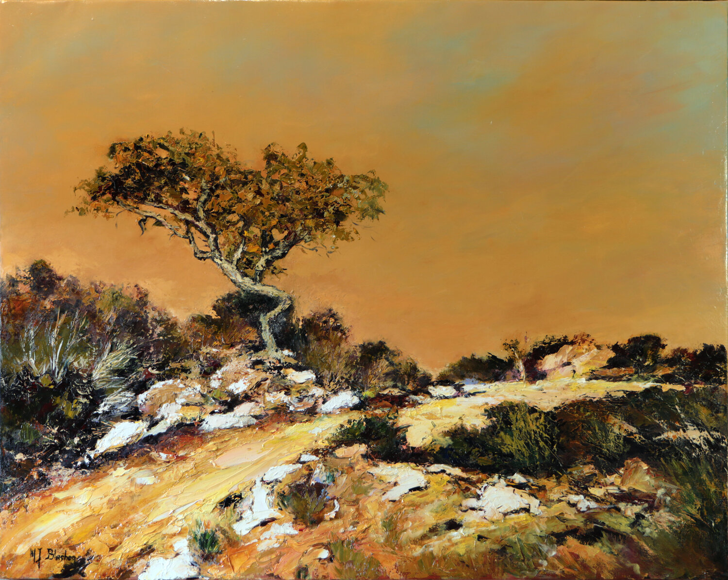 Terre des Maures Marie Josiane BLACHON