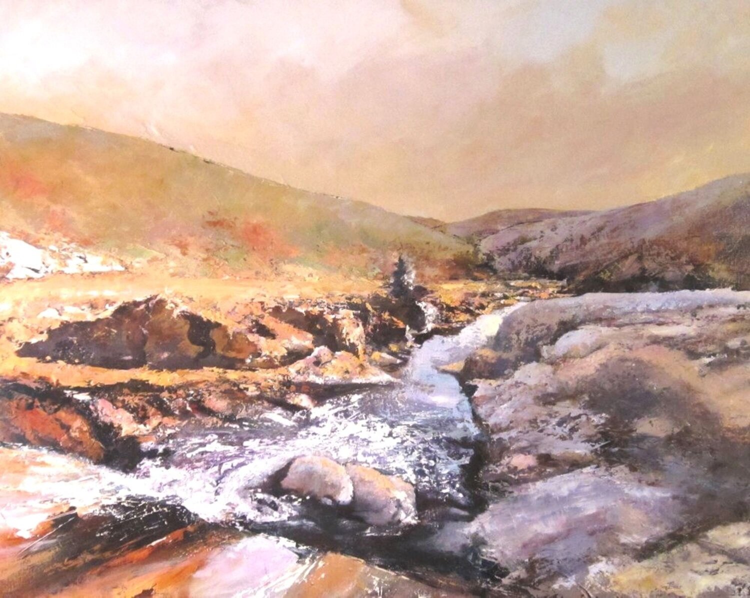Eaux vives en Maures Marie Josiane BLACHON