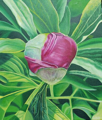 Pfingstrose di Bernhard Sulser, Pittura in vendita su Singulart