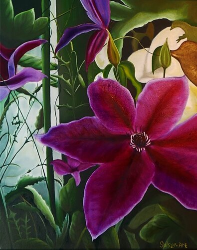 Clematis van Bernhard Sulser, Schilderij te koop op Singulart