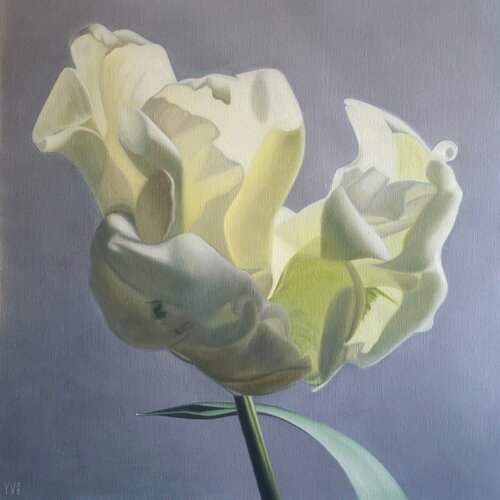 Morning tulip van Yanina Voró, Schilderij te koop op Singulart