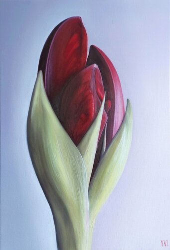 Amaryllis bud de Yanina Voró, Pintura a la venta en Singulart