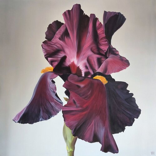 Iris flower de Yanina Voró, Pintura a la venta en Singulart