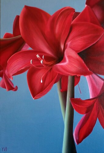Amaryllis de Yanina Voró, Pintura a la venta en Singulart