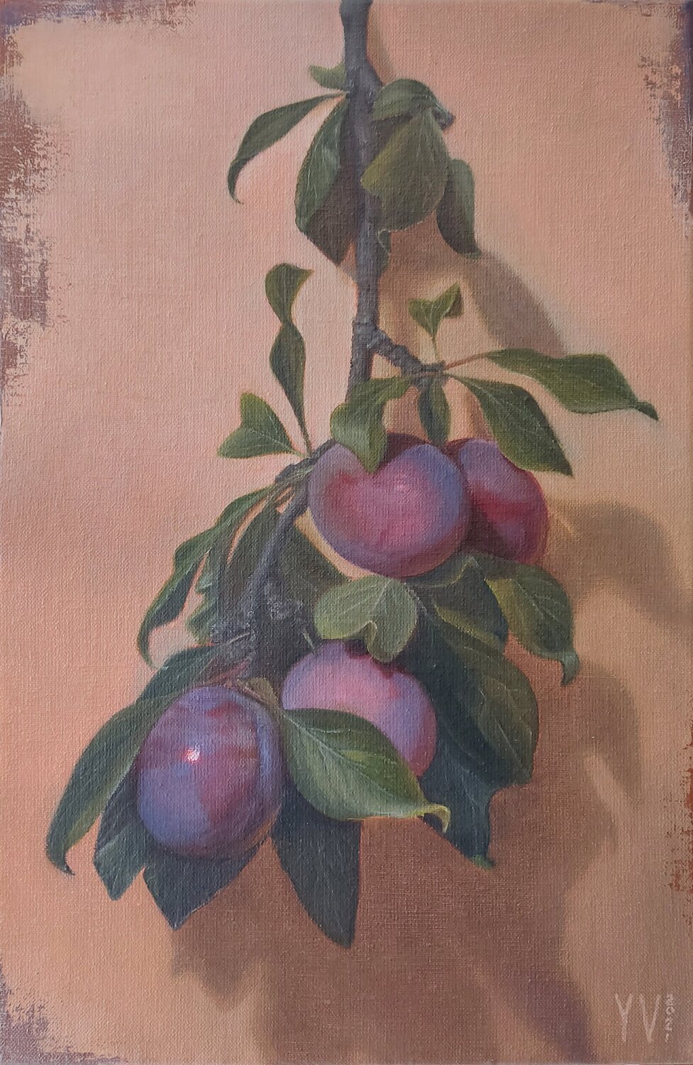 Plum branch Yanina Voró