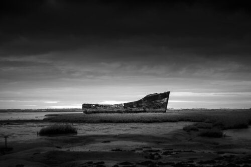 The Ark van Jakub Pasierkiewicz, Fotografie te koop op Singulart