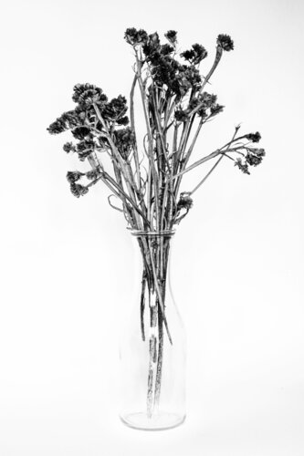 Still life, stool and 30 seconds XI by Jakub Pasierkiewicz, Photography for Sale on Singulart