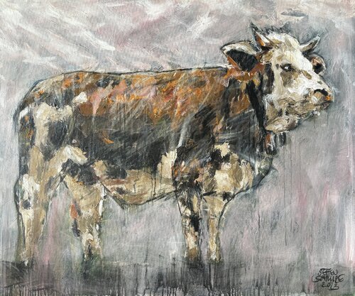 Ochse Steffen Schulze