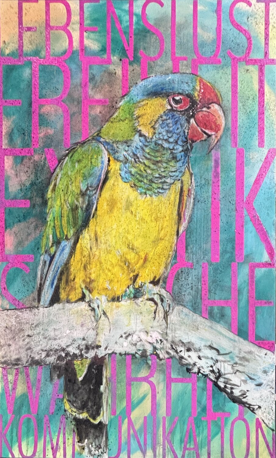 Papagei Steffen Schulze