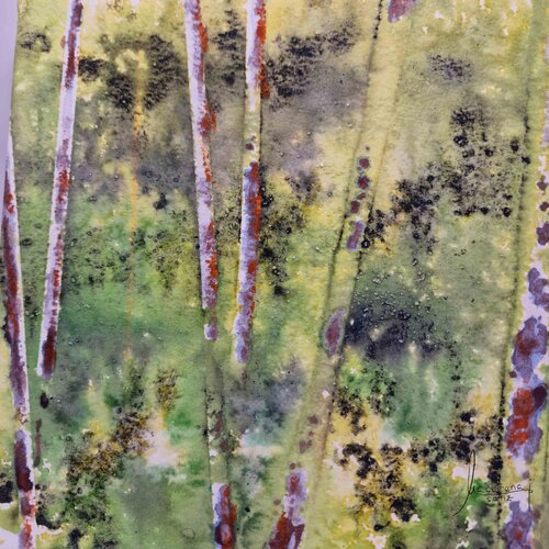 Green Forest 2.1 MACARENA SANZ