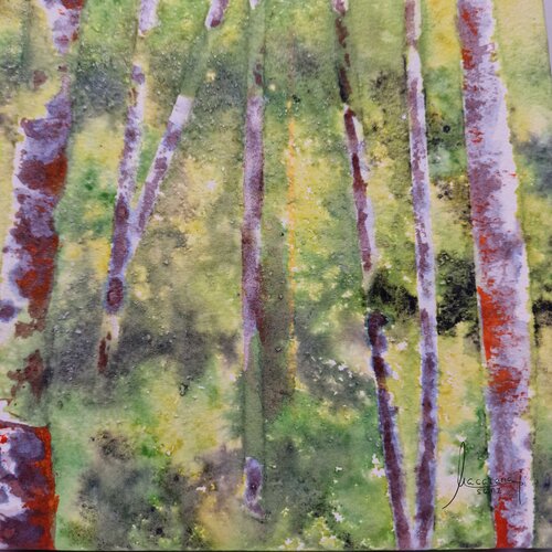 Green Forest 2.2 MACARENA SANZ