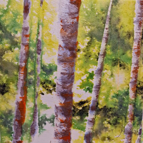 Green Forest 2.4 MACARENA SANZ