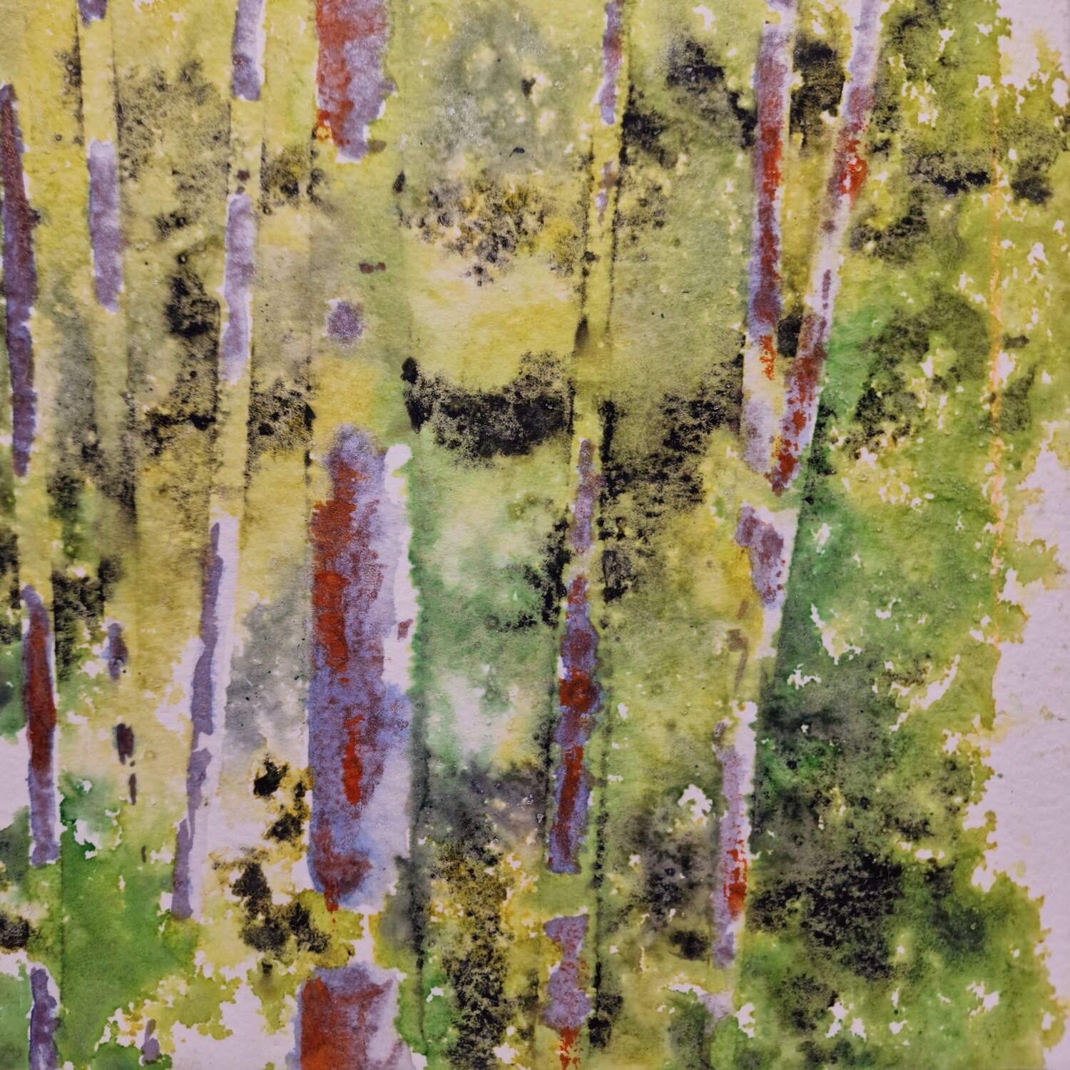 Green Forest 2.3 MACARENA SANZ