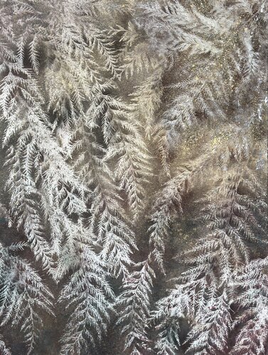 Forest talk by Tatiana Harris Nielsen, Painting for Sale on Singulart