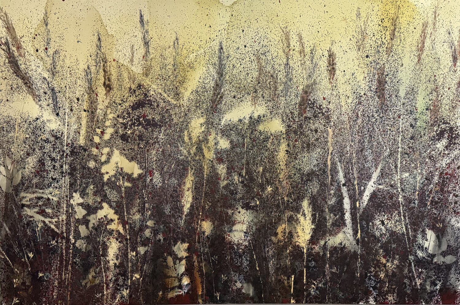 Quiet field Tatiana Harris Nielsen