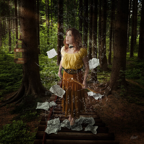 La flûte enchantée / Mozart di Focher, Fotografia in vendita su Singulart
