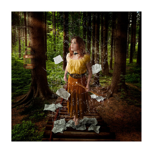 Collection FINE ART •  La flûte enchantée / Mozart di Focher, Fotografia in vendita su Singulart