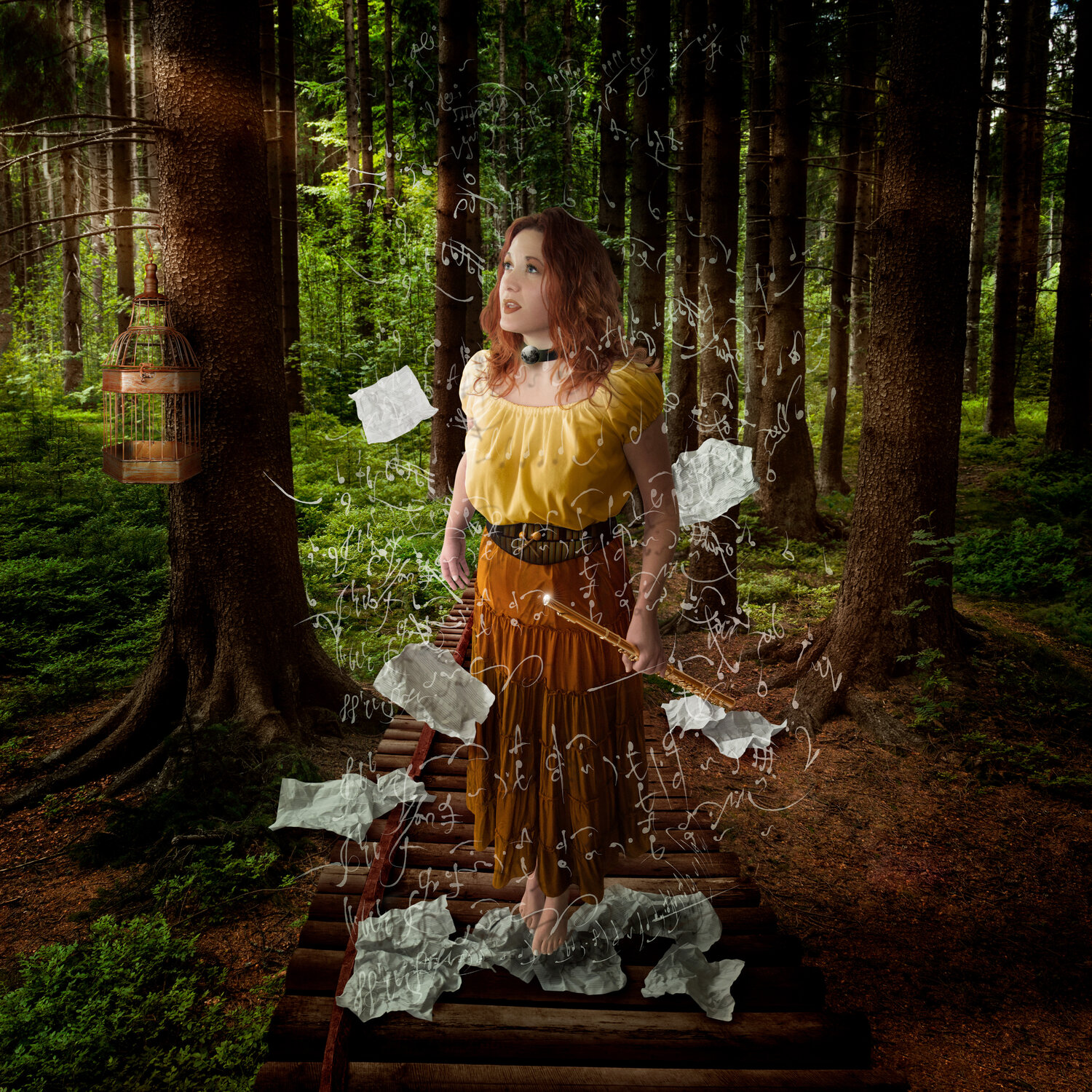 Collection PRESTIGE •  La flûte enchantée / Mozart Focher Fotografia in vendita