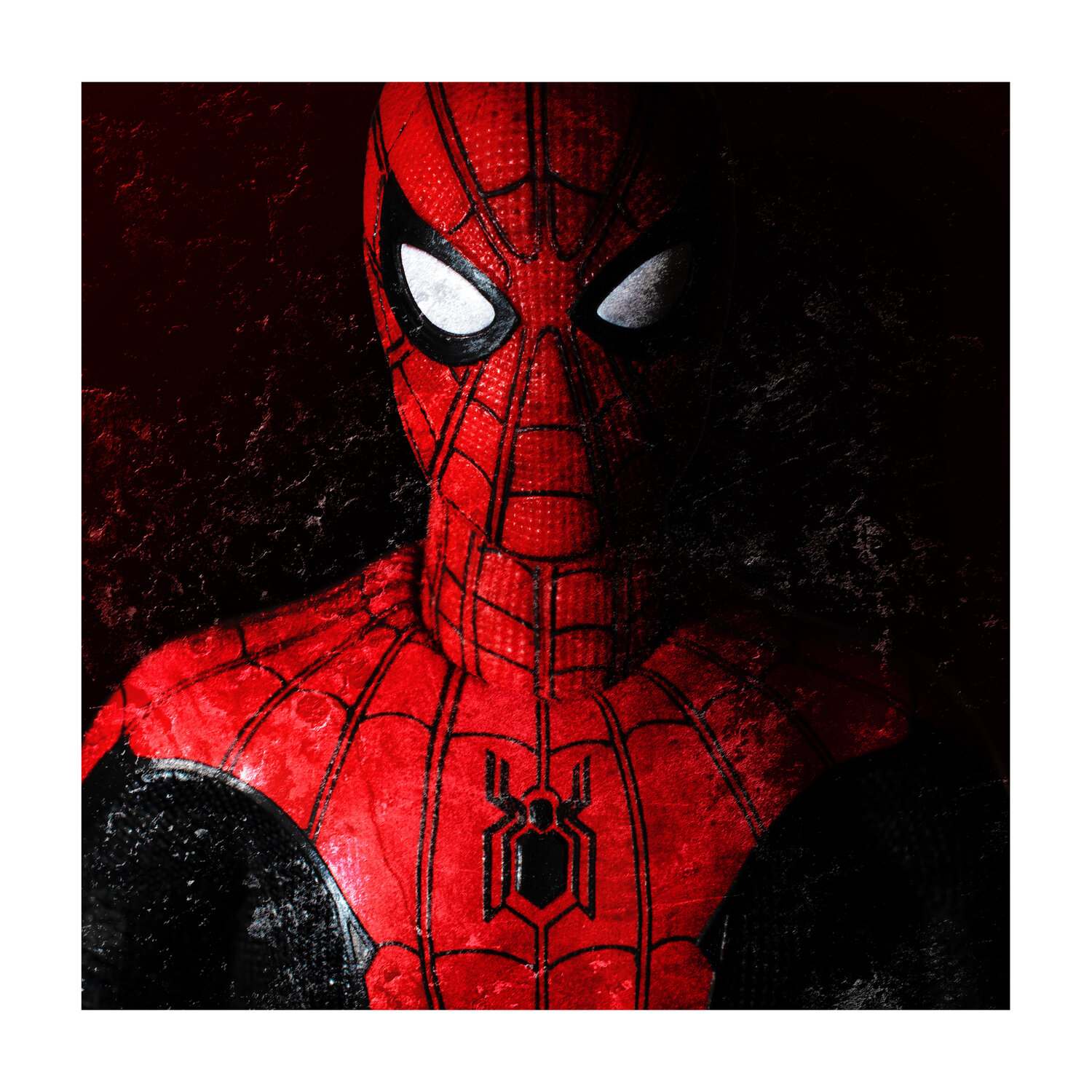 Collection FINE ART • Spider-Man Focher Fotografia in vendita