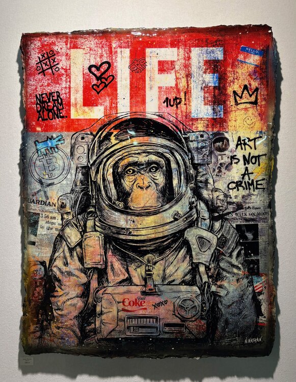 Space Monkey N NATHAN