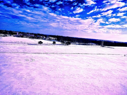 "Frost" de Nano 7 Swiss, Fotografía a la venta en Singulart