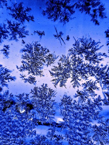 "Snowflakes" di Nano 7 Swiss, Fotografia in vendita su Singulart