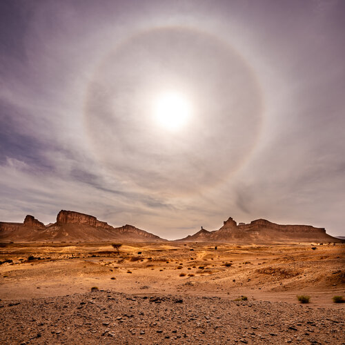 Korona in der Westsahara di Ares Yannakopoulos, Fotografia in vendita su Singulart
