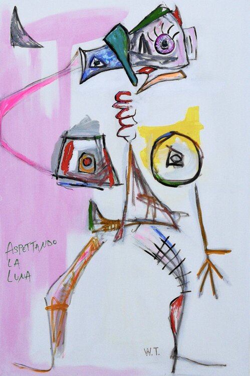 ASPETTANDO LA LUNA WIDMER TASSINARI