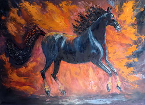 Cavallo nero, anima di fuoco van Maria Galan, Schilderij te koop op Singulart