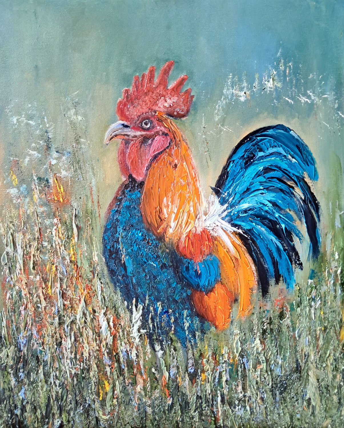 Il gallo Maria Galan