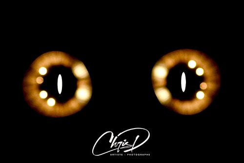 In Your Eyes Christelle Duval