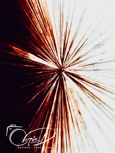 Yang von Christelle Duval, Digital kaufen auf Singulart