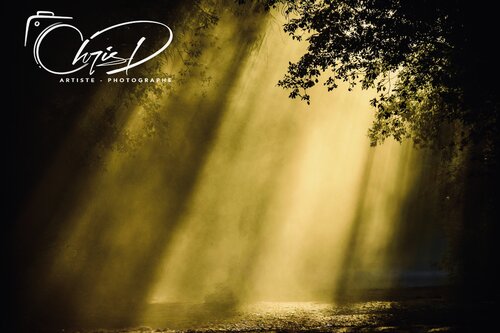 The Gold Shower von Christelle Duval, Fotografie kaufen auf Singulart