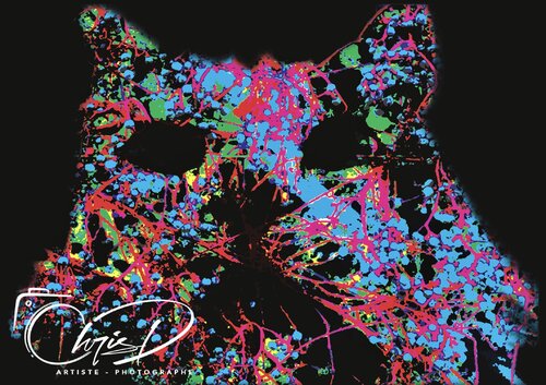 Cool Cat di Christelle Duval, Digitale in vendita su Singulart